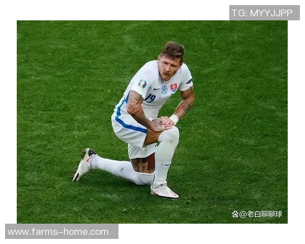 冰岛与斯洛伐克足球对决进球数分析与比赛精彩回顾 冰岛与斯洛伐克足球对决进球数分析与比赛精彩回顾