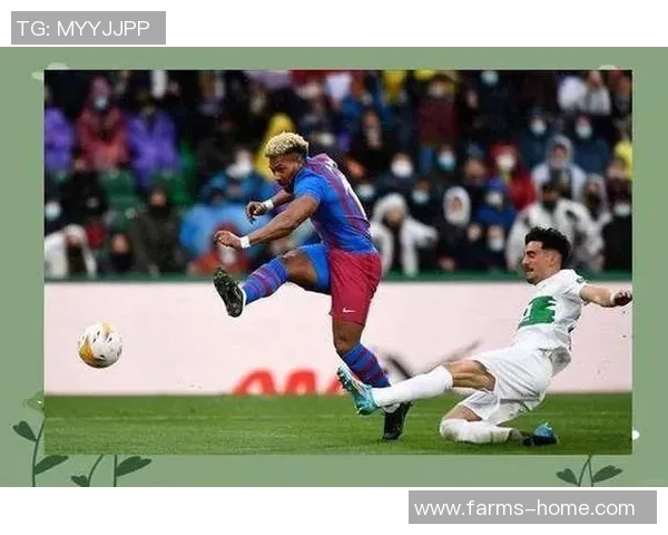 德国与瑞典激战在即6月24日精彩对决值得期待