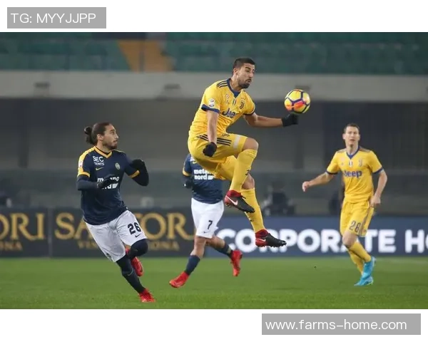 意甲焦点战维罗纳主场迎战佛罗伦萨双方争夺关键积分之战