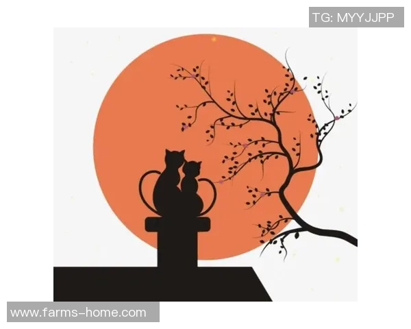 月光下的对话月影中的思考月的轮回与心灵的碰撞 月光下的对话月影中的思考月的轮回与心灵的碰撞