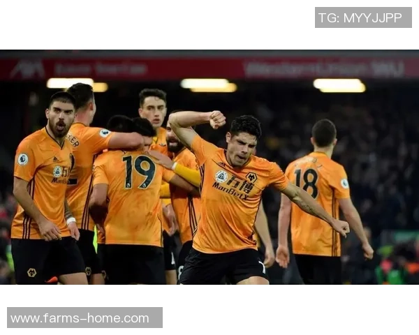 足总杯精彩对决狼队迎战利物浦全场录播回顾与精彩瞬间分析