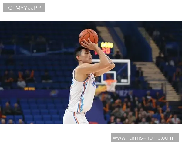 陈林坚的篮球之路：从青涩少年到职业球员的成长历程与奋斗故事