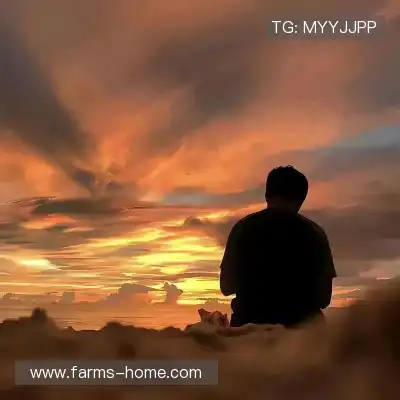 樊雍炼