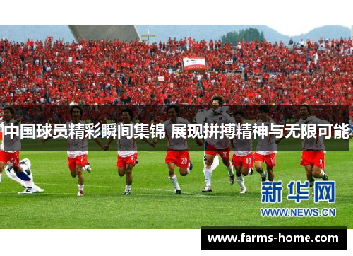 中国球员精彩瞬间集锦 展现拼搏精神与无限可能