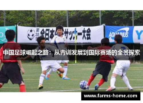 中国足球崛起之路：从青训发展到国际赛场的全景探索