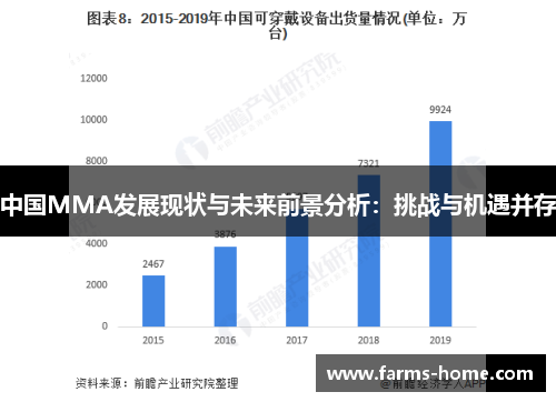 中国MMA发展现状与未来前景分析：挑战与机遇并存