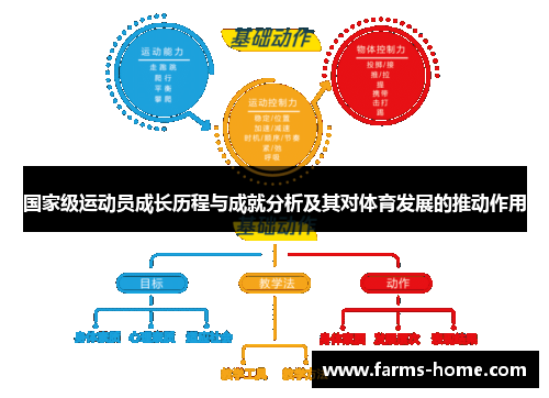 国家级运动员成长历程与成就分析及其对体育发展的推动作用