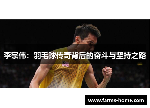 李宗伟：羽毛球传奇背后的奋斗与坚持之路