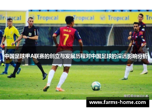 中国足球甲A联赛的创立与发展历程对中国足球的深远影响分析