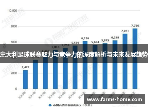 意大利足球联赛魅力与竞争力的深度解析与未来发展趋势