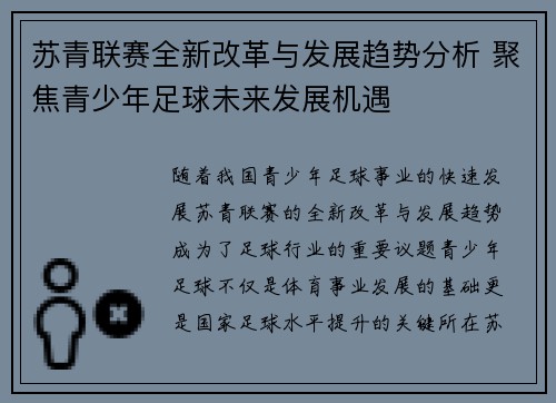 苏青联赛全新改革与发展趋势分析 聚焦青少年足球未来发展机遇