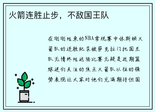 火箭连胜止步，不敌国王队